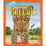 Big Cats (the most endangered) <span class="author" ></span>