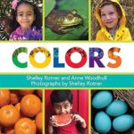 Colors <span class="author" ></span>