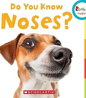 Do You Know Noses? <span class="author" ></span>