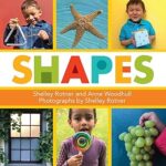 Shapes <span class="author" ></span>